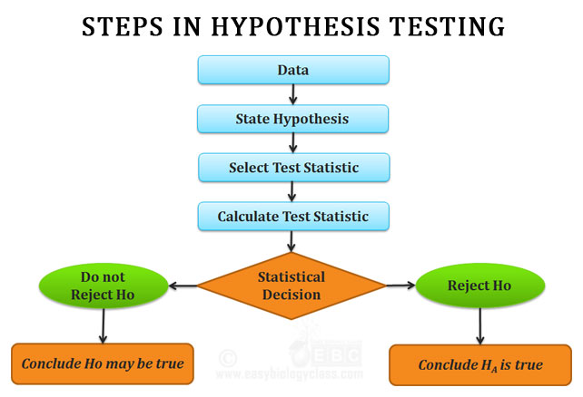 process of hypothesis testing in research methodology