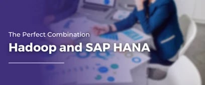 The Perfect Combination - Hadoop and SAP HANA