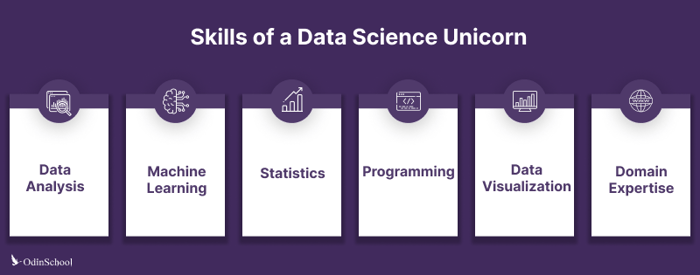 Data Science unicorn skills