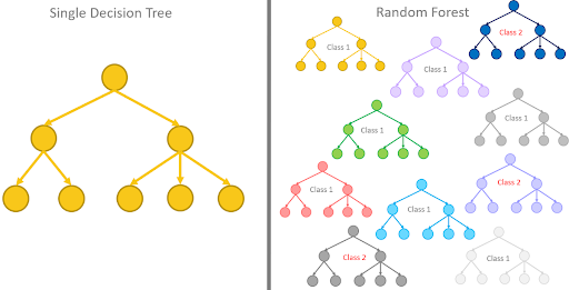 Decision Trees
