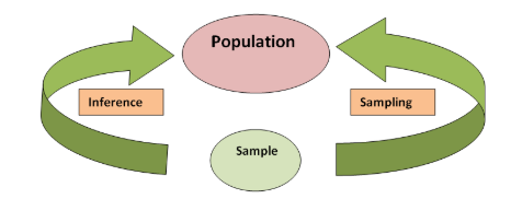 Samples and populations