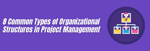 8 Types of Organizational Structures in Project Management