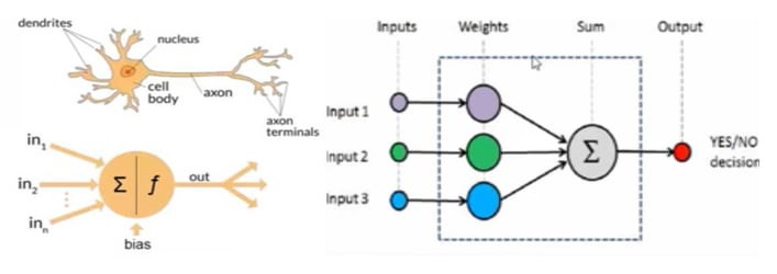Application of Deep Learning