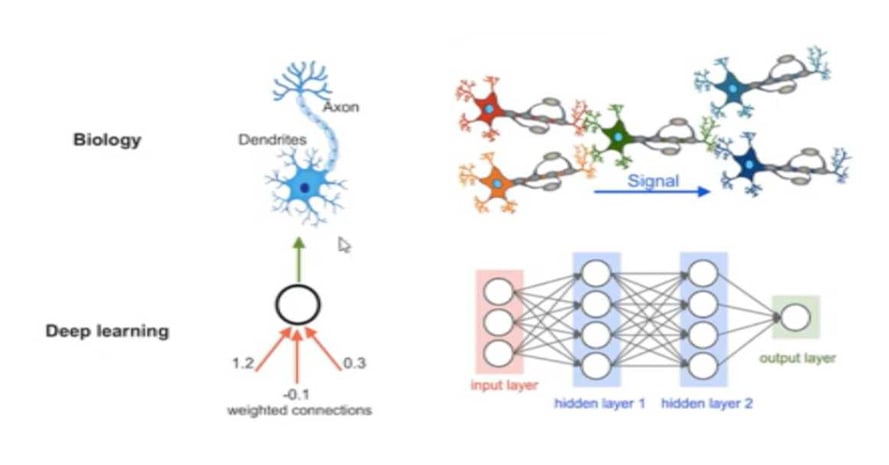 Application of Deep Learning infographic