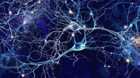 Neural Network