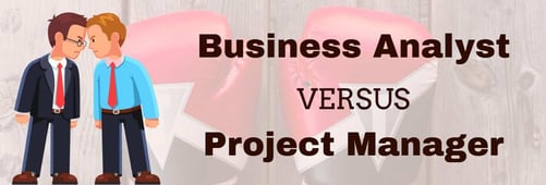 Job Analysis : Business Analysts and Project Managers