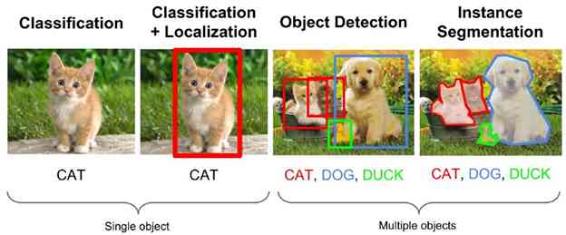 Cats and Dogs Machine Learning Classification