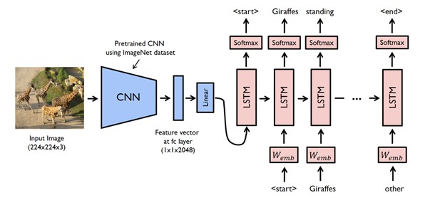 CNN flow