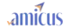 Amicus Advisors 100X40