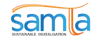 Capgemini_100X40
