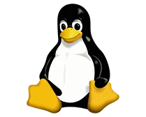 Linux Tutorial