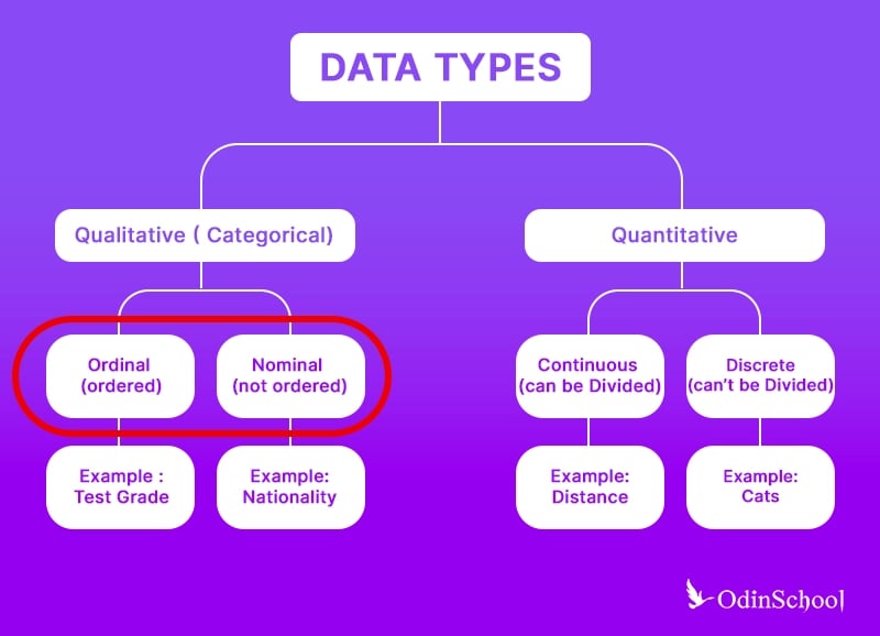 types of data 1