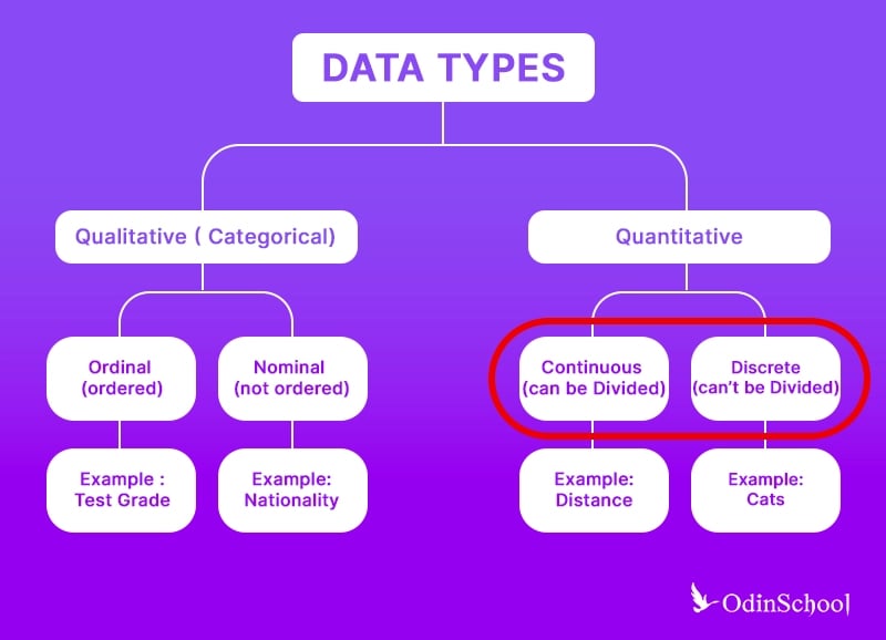 types of data 2