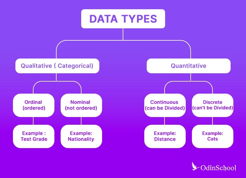 types of data