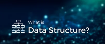 What is a Data Structure?