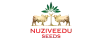 Nuziveedu Seeds 100X40