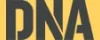 DNA INDIVIDUAL 100 X40 (1)