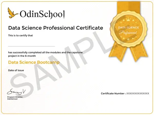 Certified_Professional-01 (1) (2) (1)