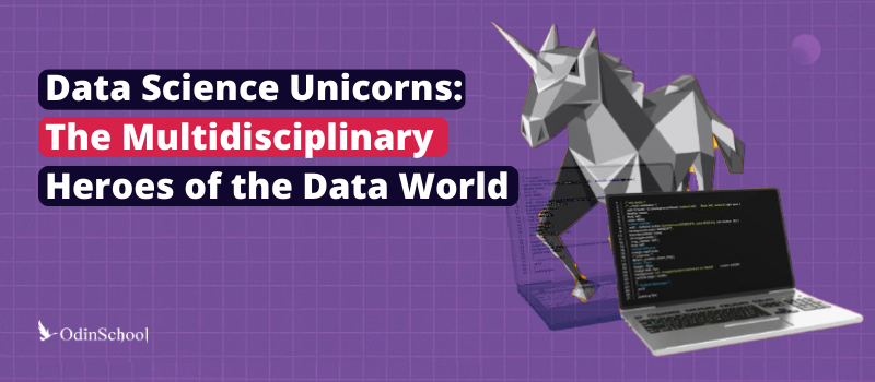 Data Science Unicorns: The Multidisciplinary Heroes of the Data World